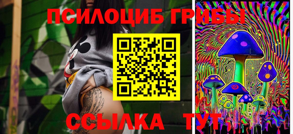 Галлюциногенные грибы Psilocybe Полевской